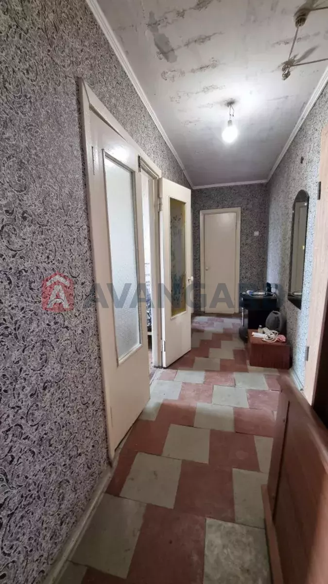 2 ��. ��������, 53/-/10 ��. �., 16/16 ������ ���� 13