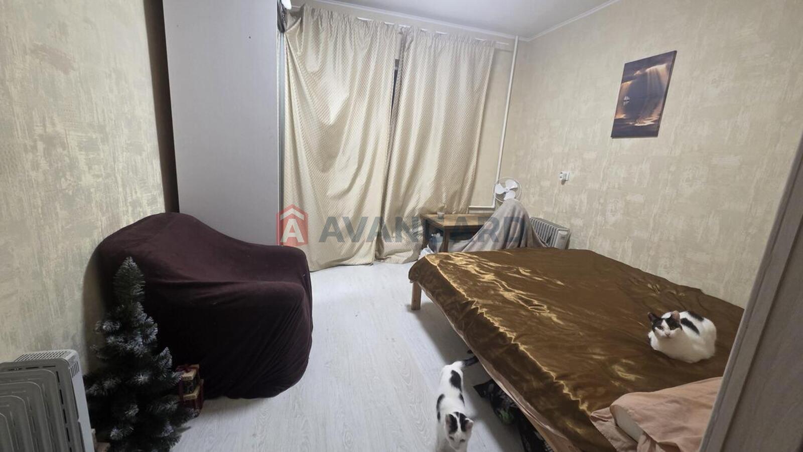 3 . , 80/42/8 . ., 16/16   18