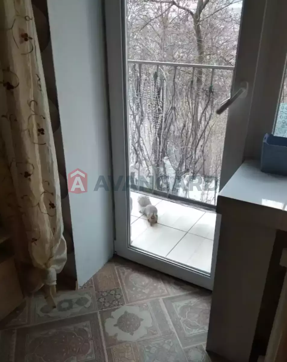 2 ��. ��������, 45/-/6 ��. �., 4/5 ������ ���� 14