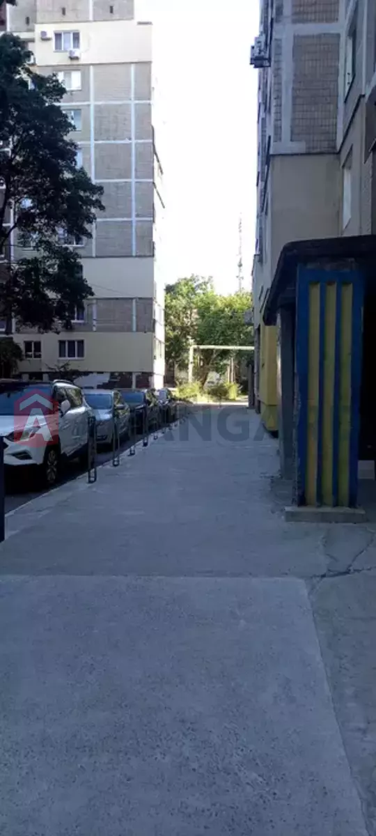 1 ����. ��������, 36/-/6 ��. �., 6/9 ���� ���� 12