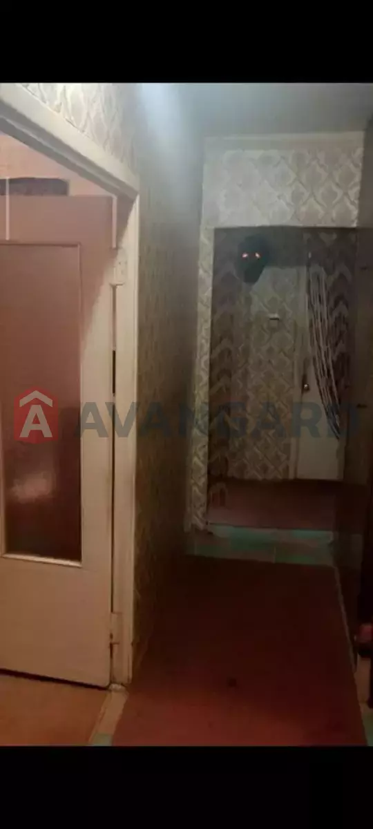 3 ����. ��������, 66/-/8 ��. �., 8/9 ���� ���� 3