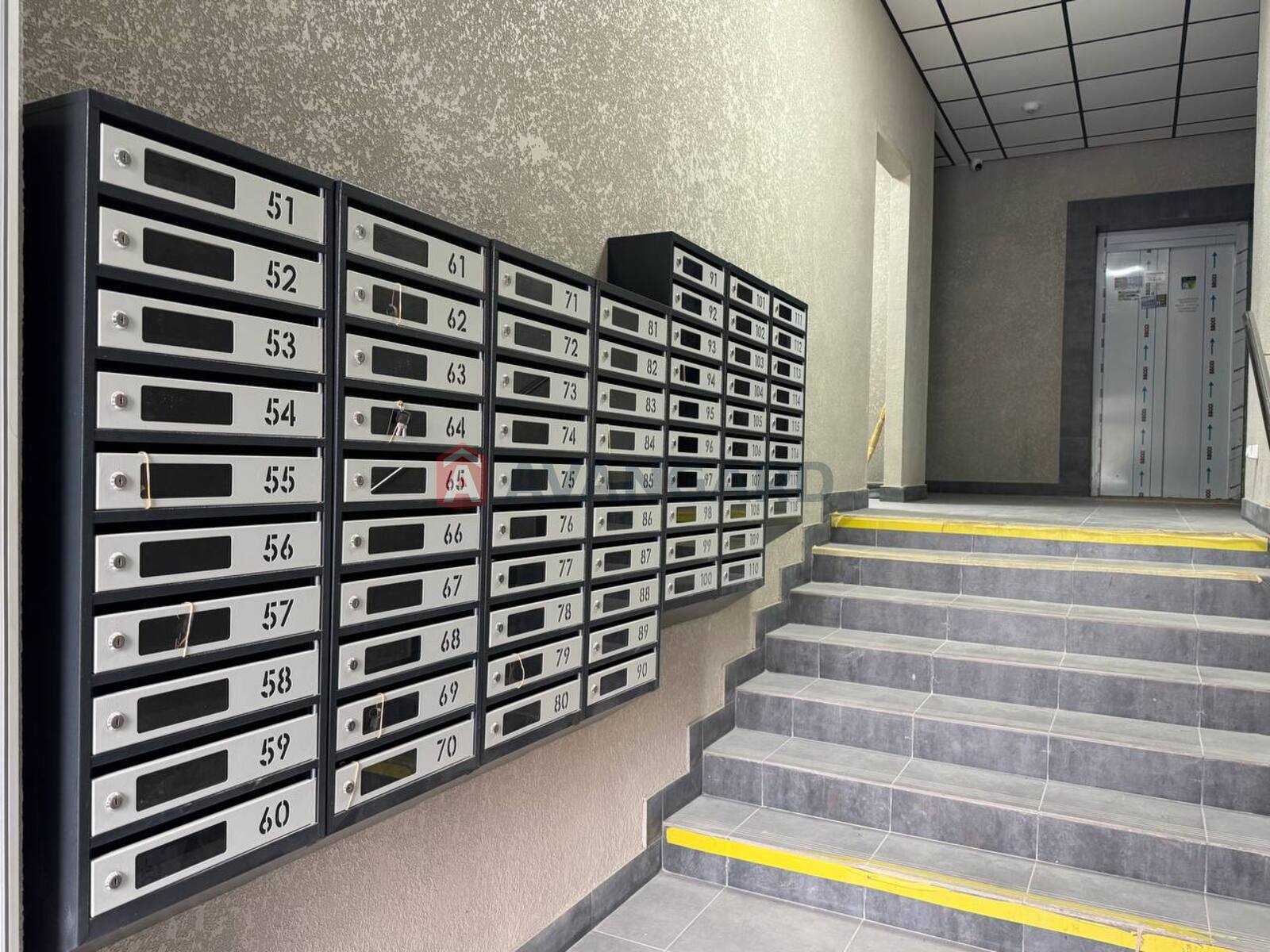 1 ��. ��������, 48/-/19 ��. �., 8/10 ������ ���� 6