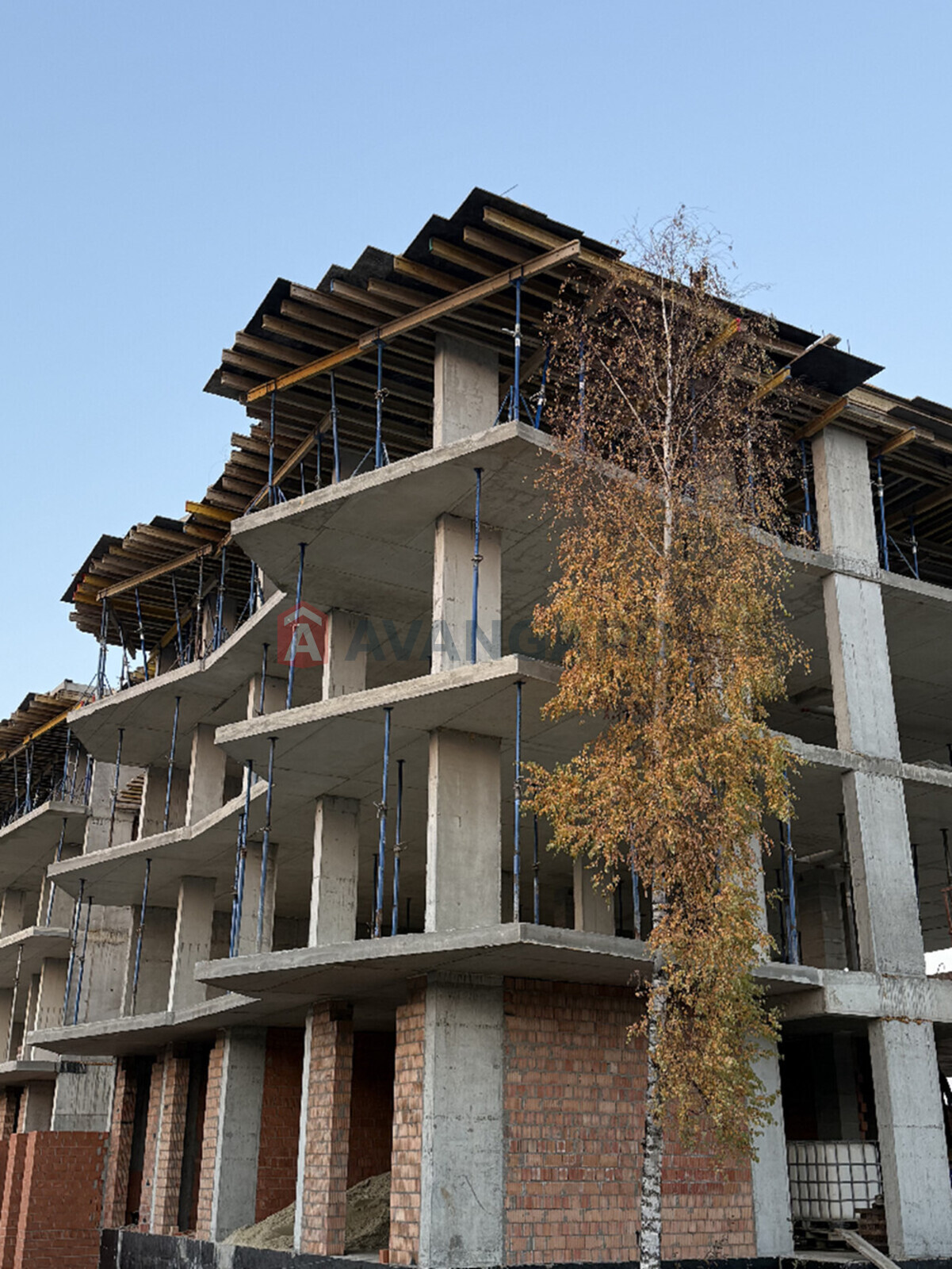 2 ����. ��������, 65.6/-/22.55 ��. �., 4/4 ���� ���� 6