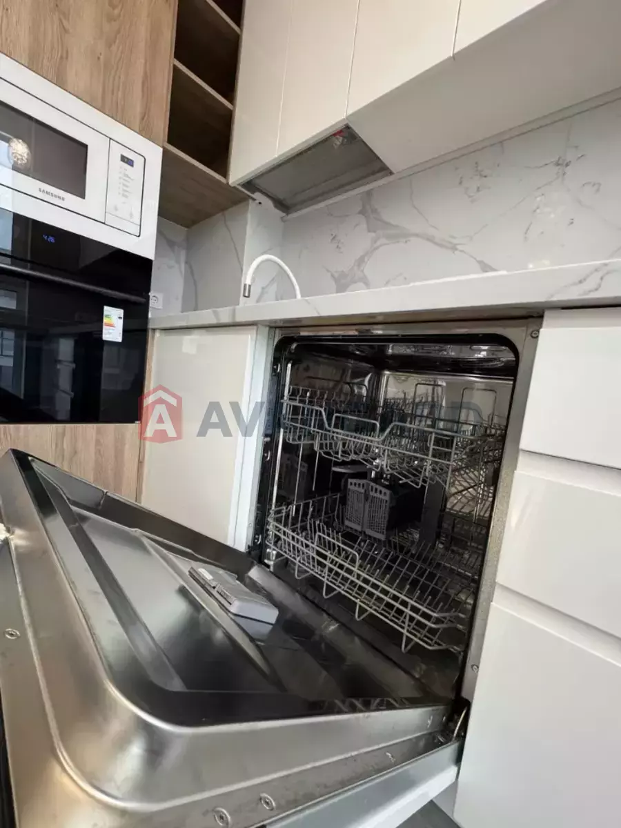 3 . , 62/-/- . ., 19/24   10