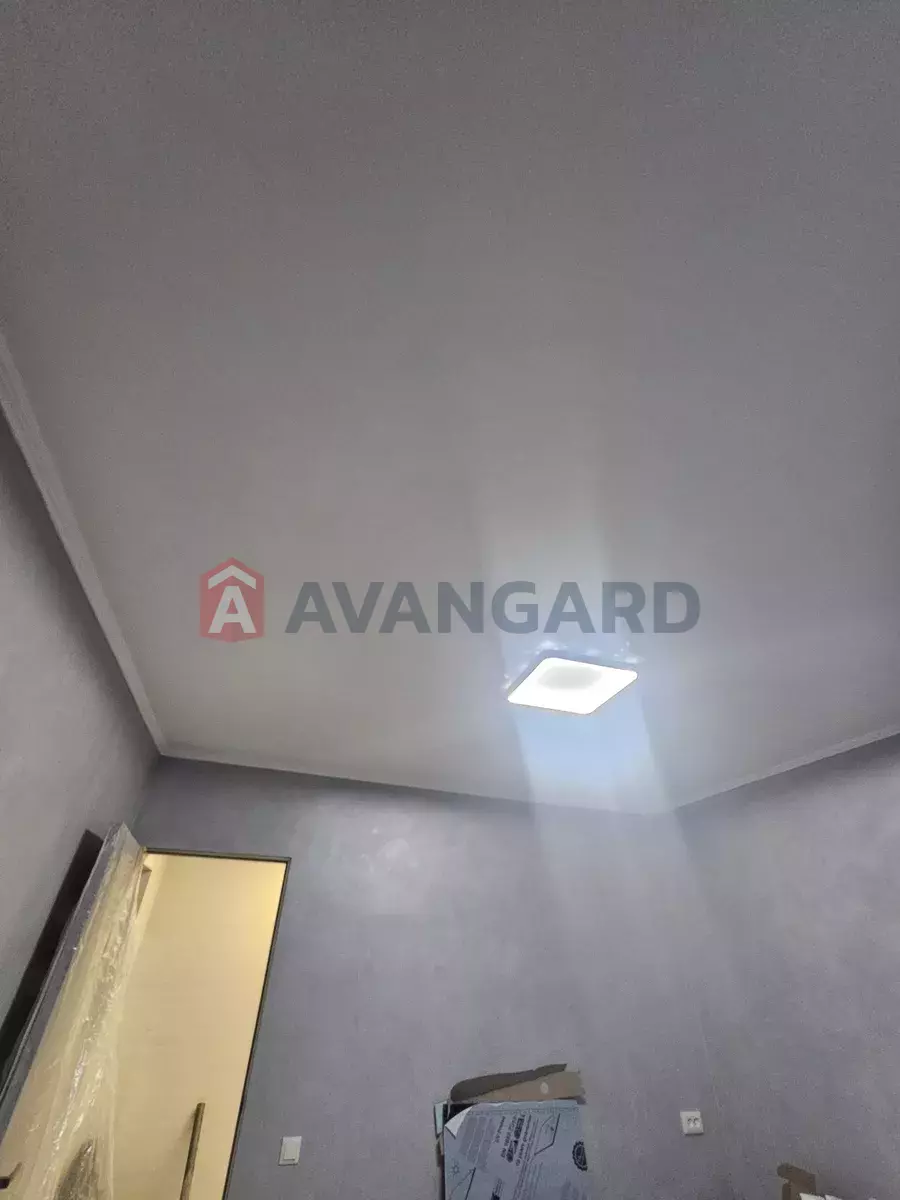 2 ����. ��������, 53/33/8 ��. �., 8/9 ���� ���� 14