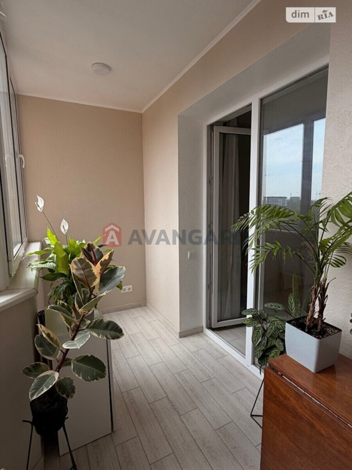 1 ��. ��������, 44/16/16 ��. �., 7/13 ������ ���� 10