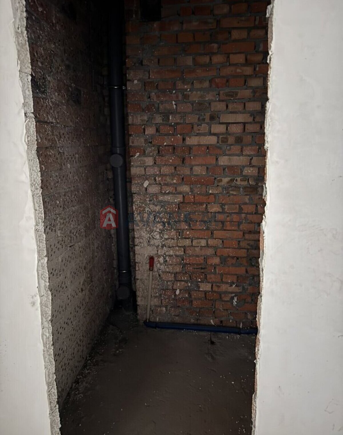 3 ��. ��������, 103/54/20 ��. �., 1/10 ������ ���� 4