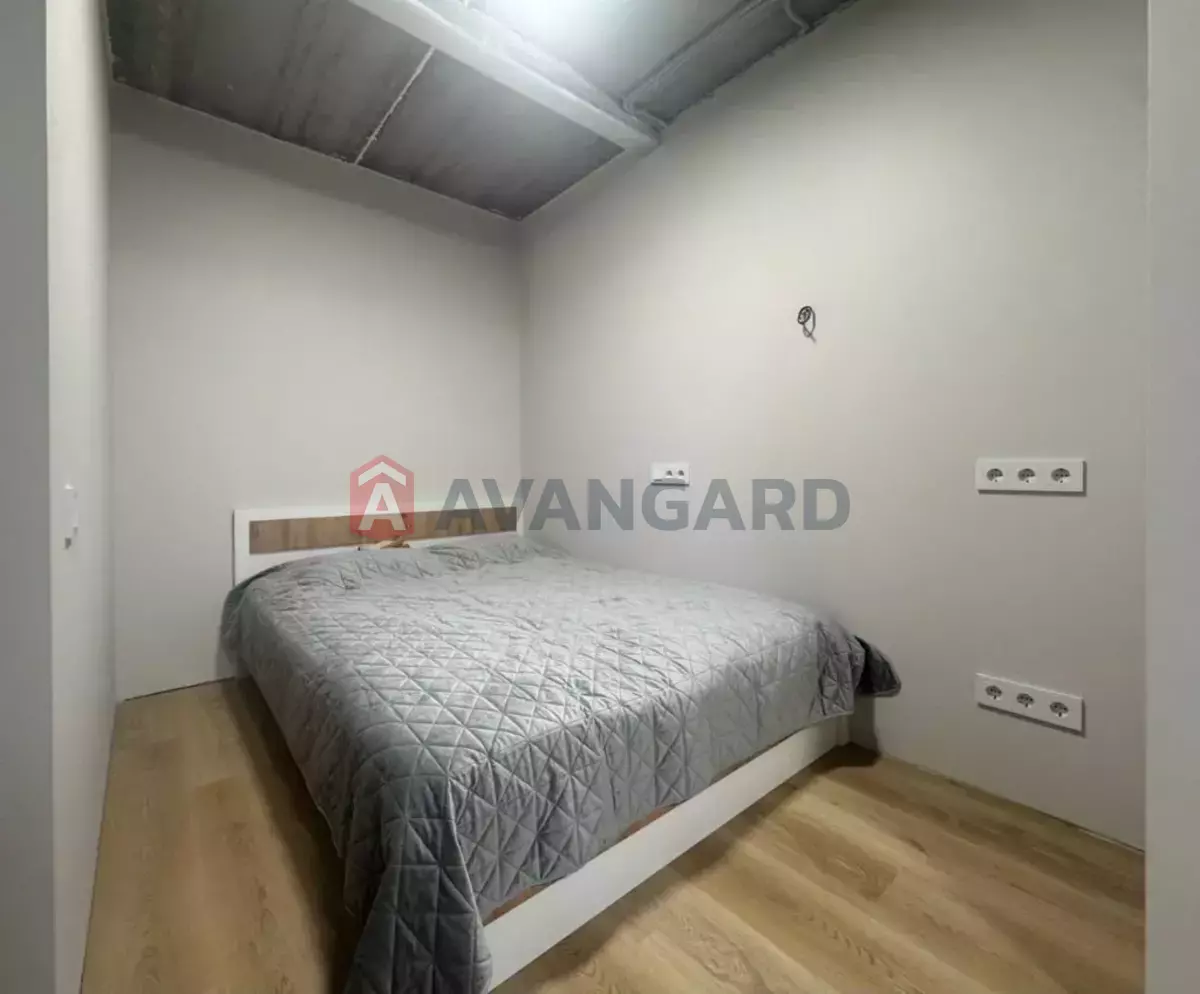 3 ��. ��������, 67/-/- ��. �., 8/10 ������ ���� 6