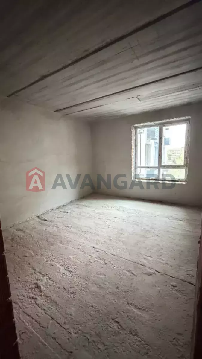 3 ��. ��������, 79/-/- ��. �., 5/9 ������ ���� 8