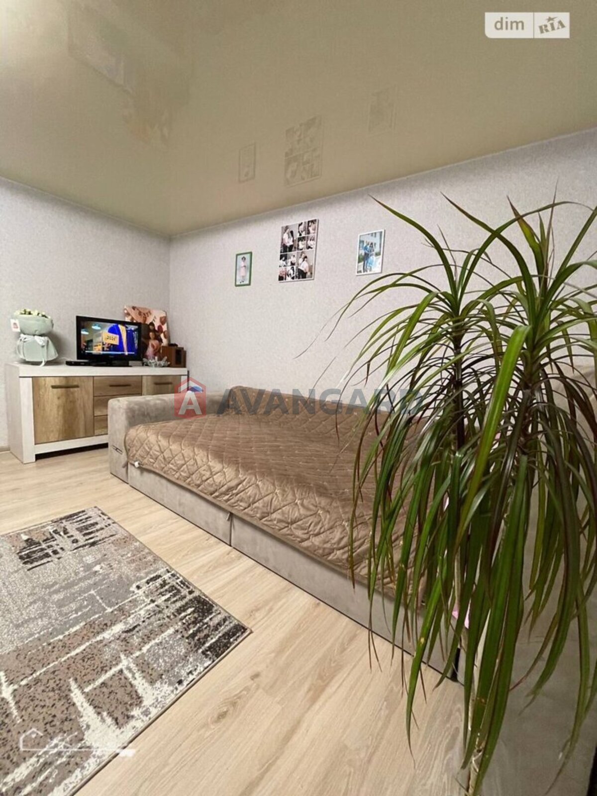 1 ��. ��������, 52/-/13 ��. �., 10/10 ������ ���� 5