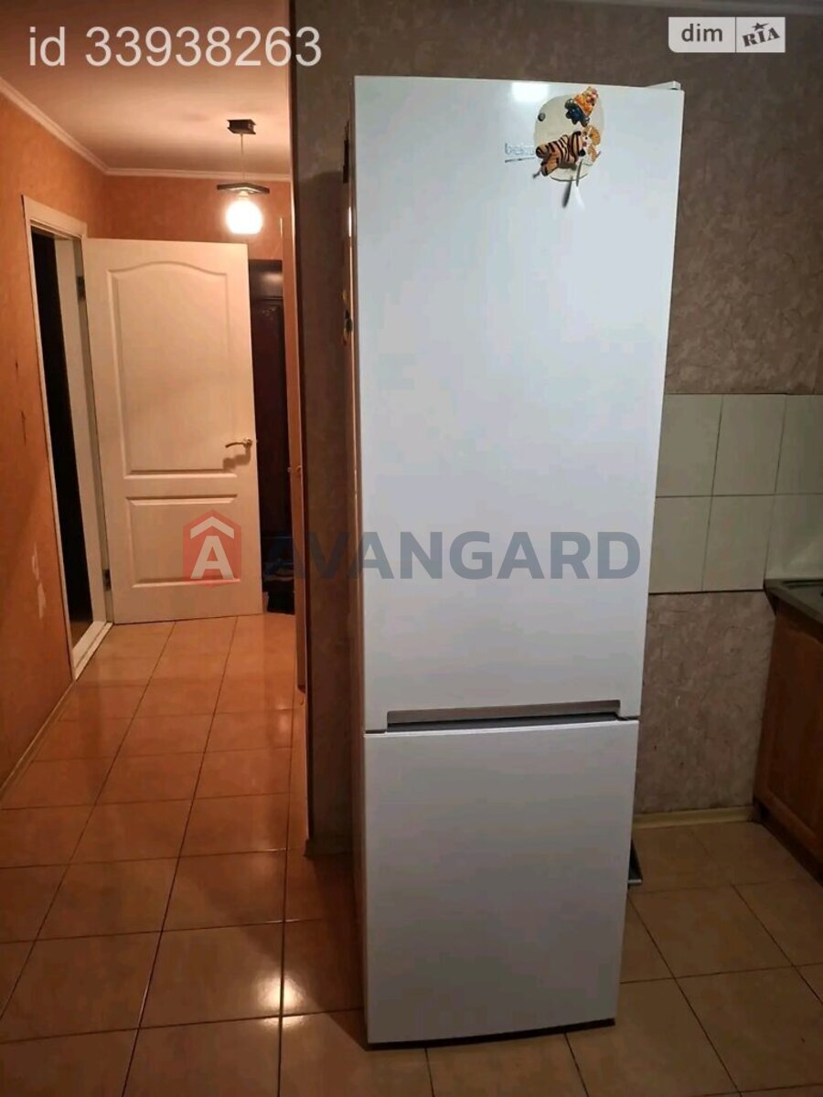 1 ����. ��������, 36/25/10 ��. �., 4/5 ���� ���� 4