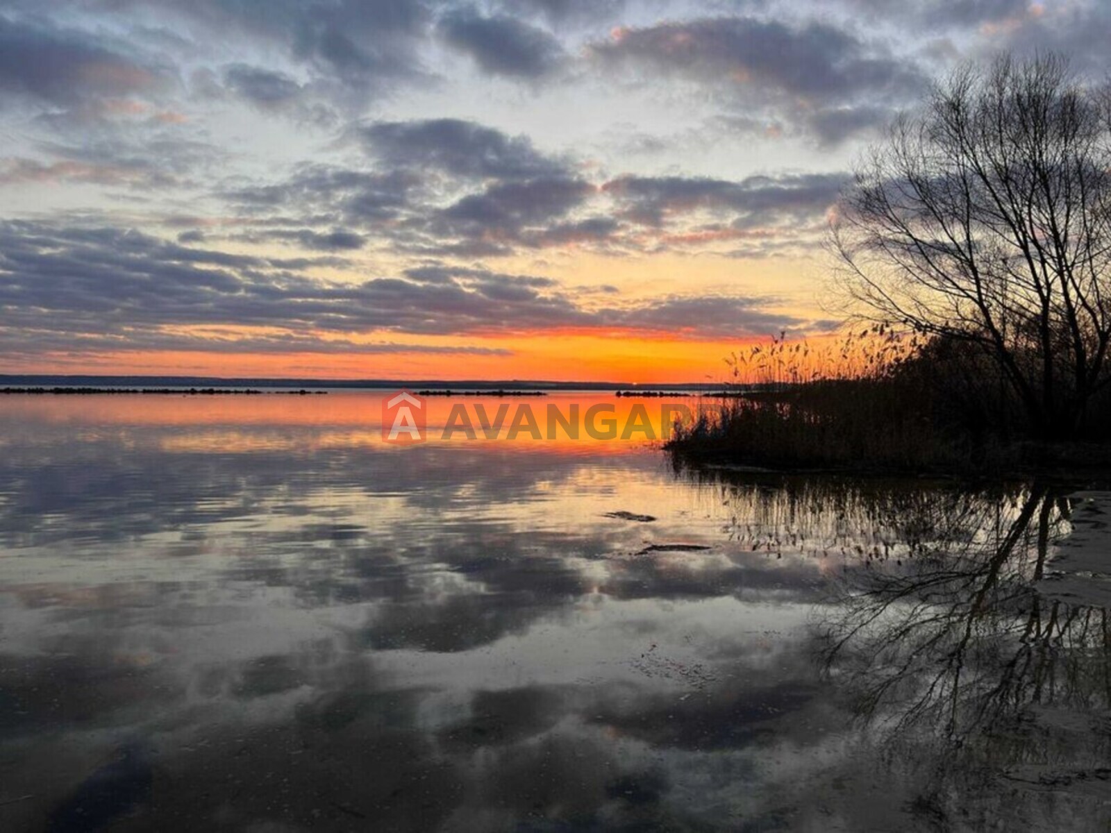 3 ��. ��������, 77/-/15 ��. �., 12/14 ������ ���� 4