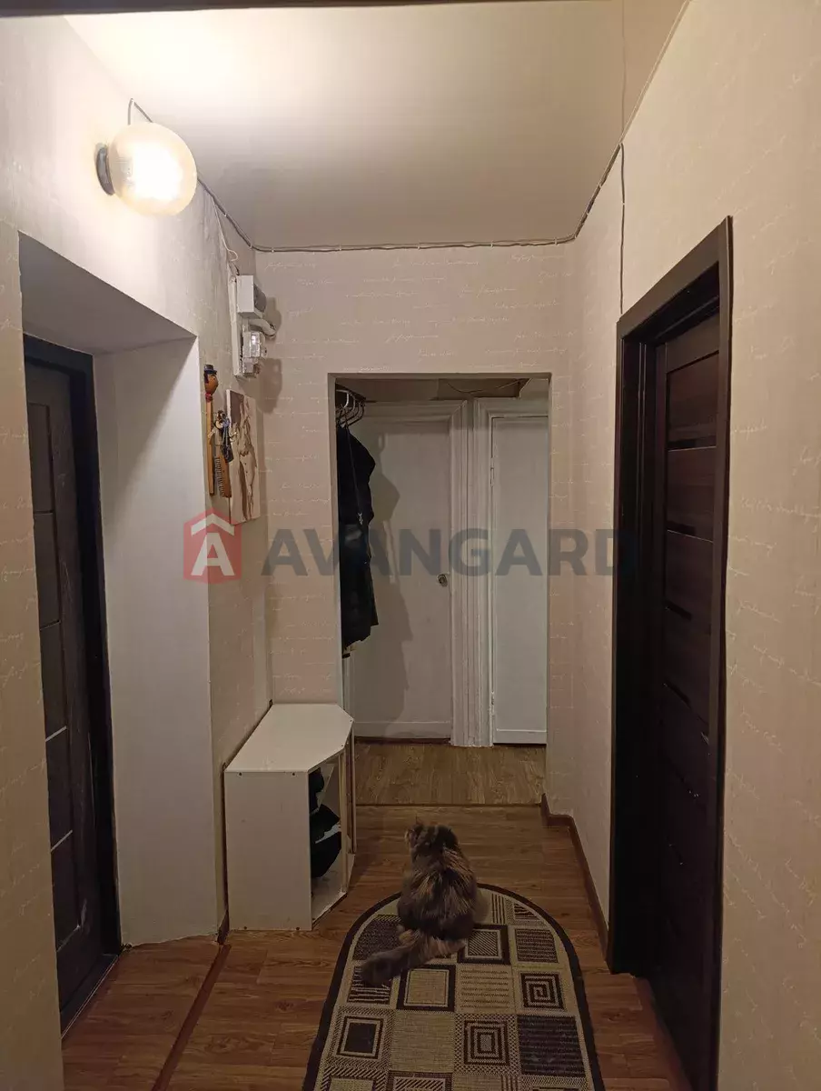 2 ��. ��������, 49/-/7 ��. �., 1/2 ������ ���� 7