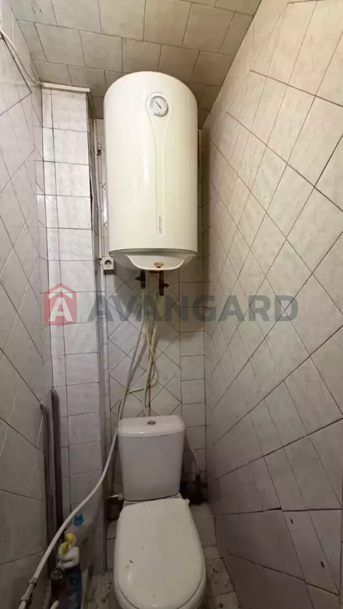 2 ��. ��������, 54/-/- ��. �., 7/9 ������ ���� 13