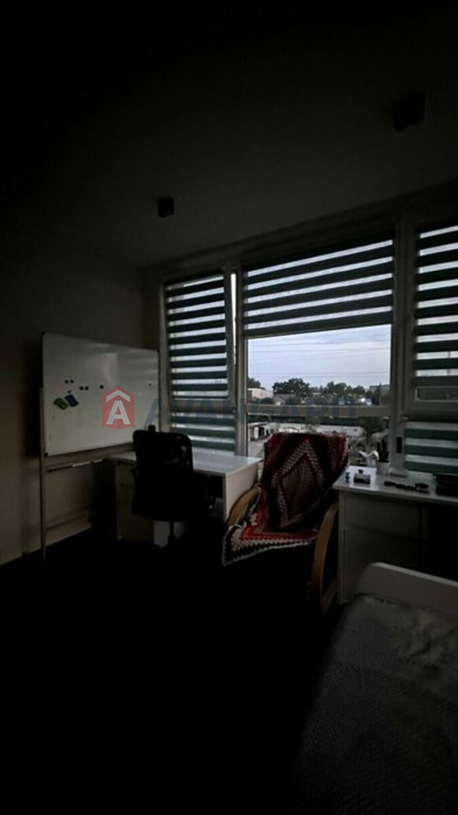 3 ��. ��������, 82/-/29 ��. �., 3/17 ������ ���� 13