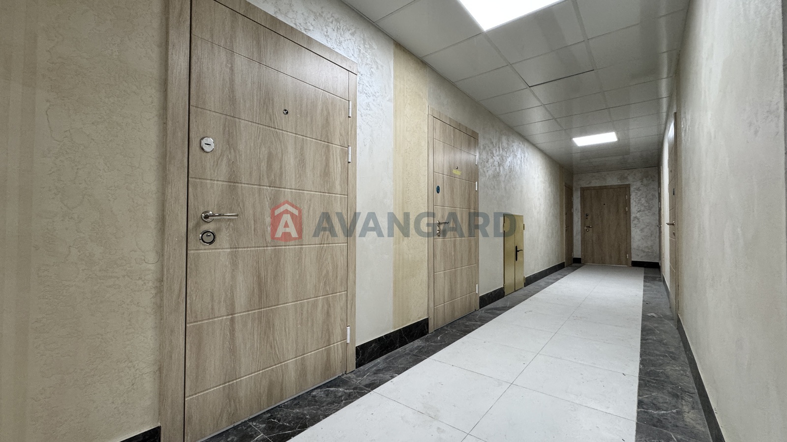 1 ��. ��������, 20/-/- ��. �., 4/4 ������ ���� 11