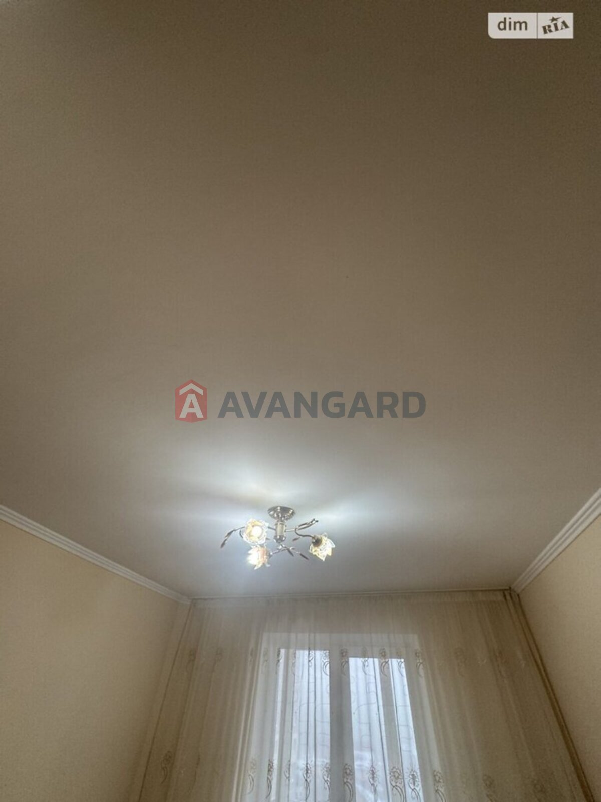 3 ����. ��������, 64/45/8 ��. �., 5/10 ���� ���� 10