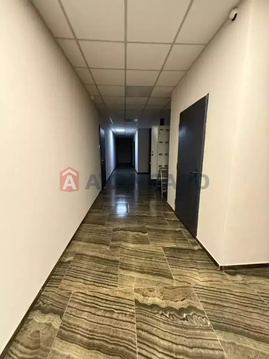 1 ��. ��������, 40/-/- ��. �., 8/19 ������ ���� 12