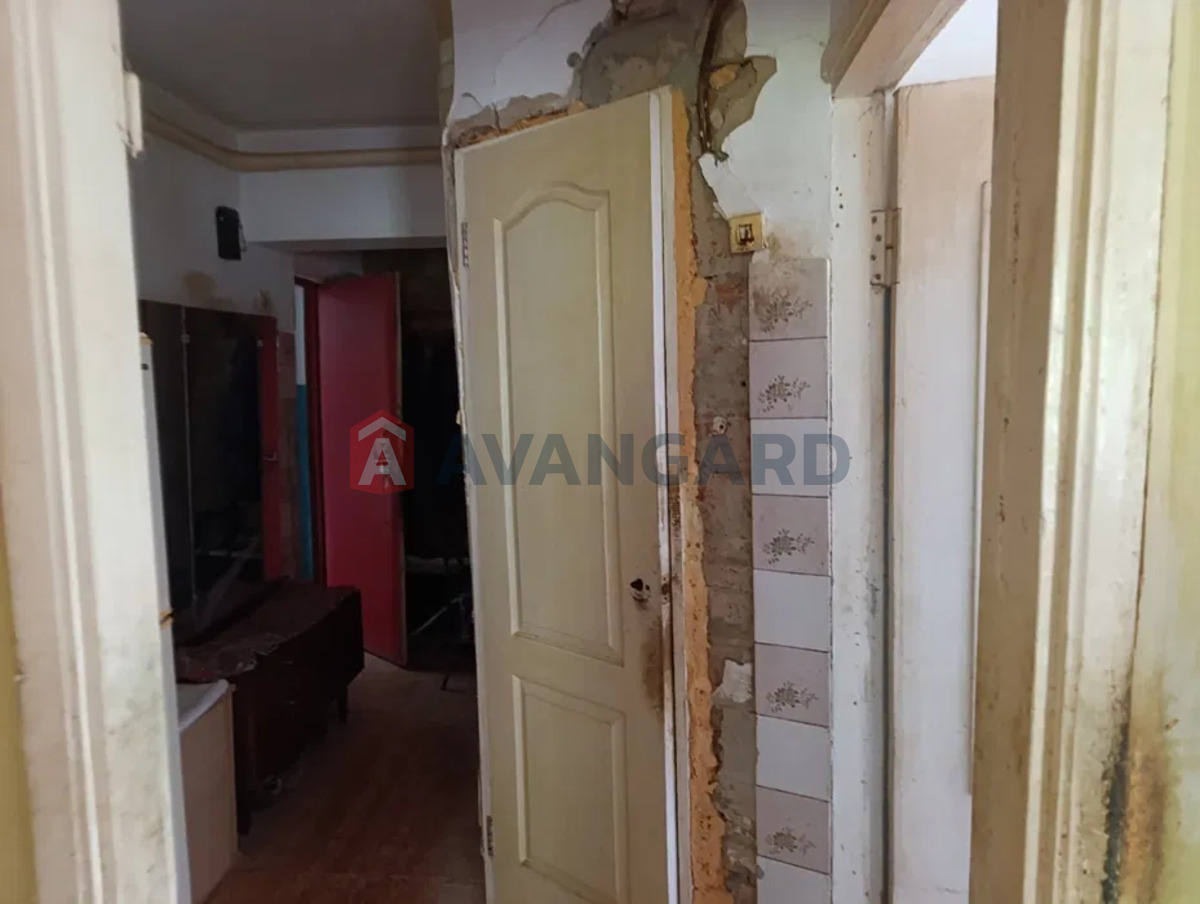 3 ��. ��������, 42/-/5 ��. �., 1/2 ������ ���� 5