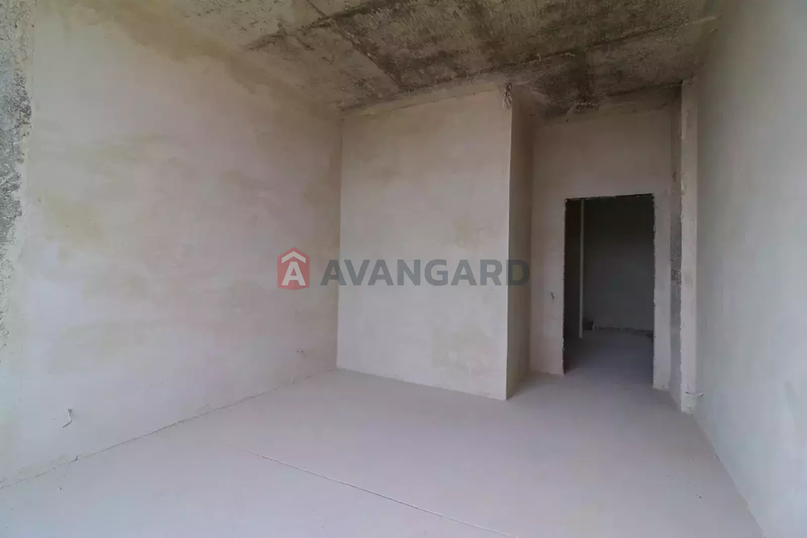 3 ��. ��������, 135/-/30 ��. �., 24/25 ������ ���� 11