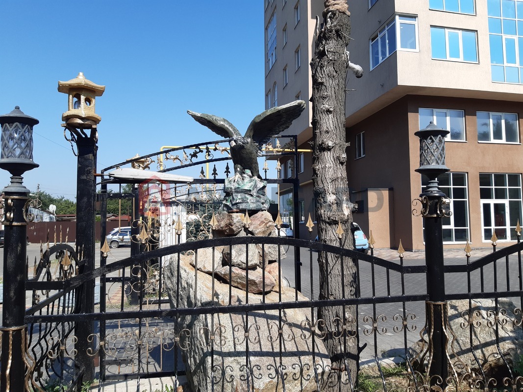 3 . , 126,5/80/25 . ., 10/21   5