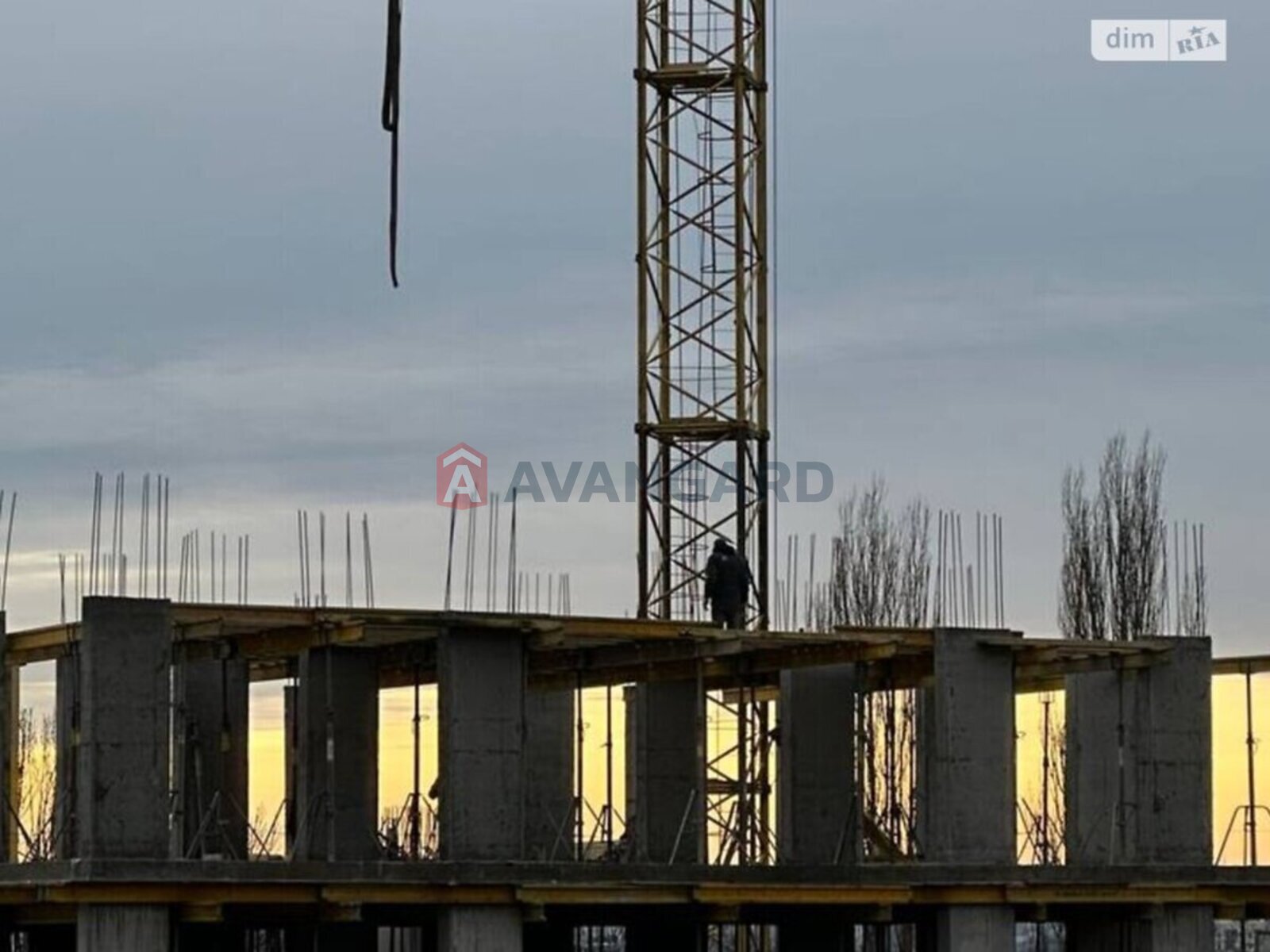 4 ��. ��������, 133/-/- ��. �., 9/10 ������ ���� 11