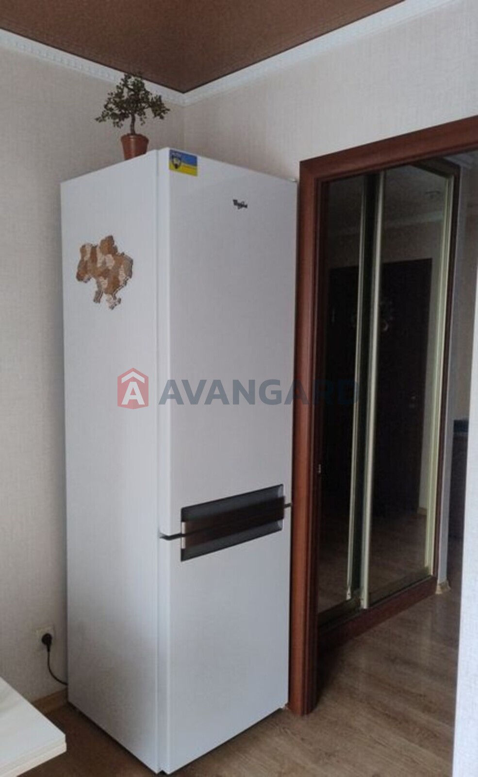 3 ����. ��������, 67/-/8 ��. �., 6/9 ���� ���� 16