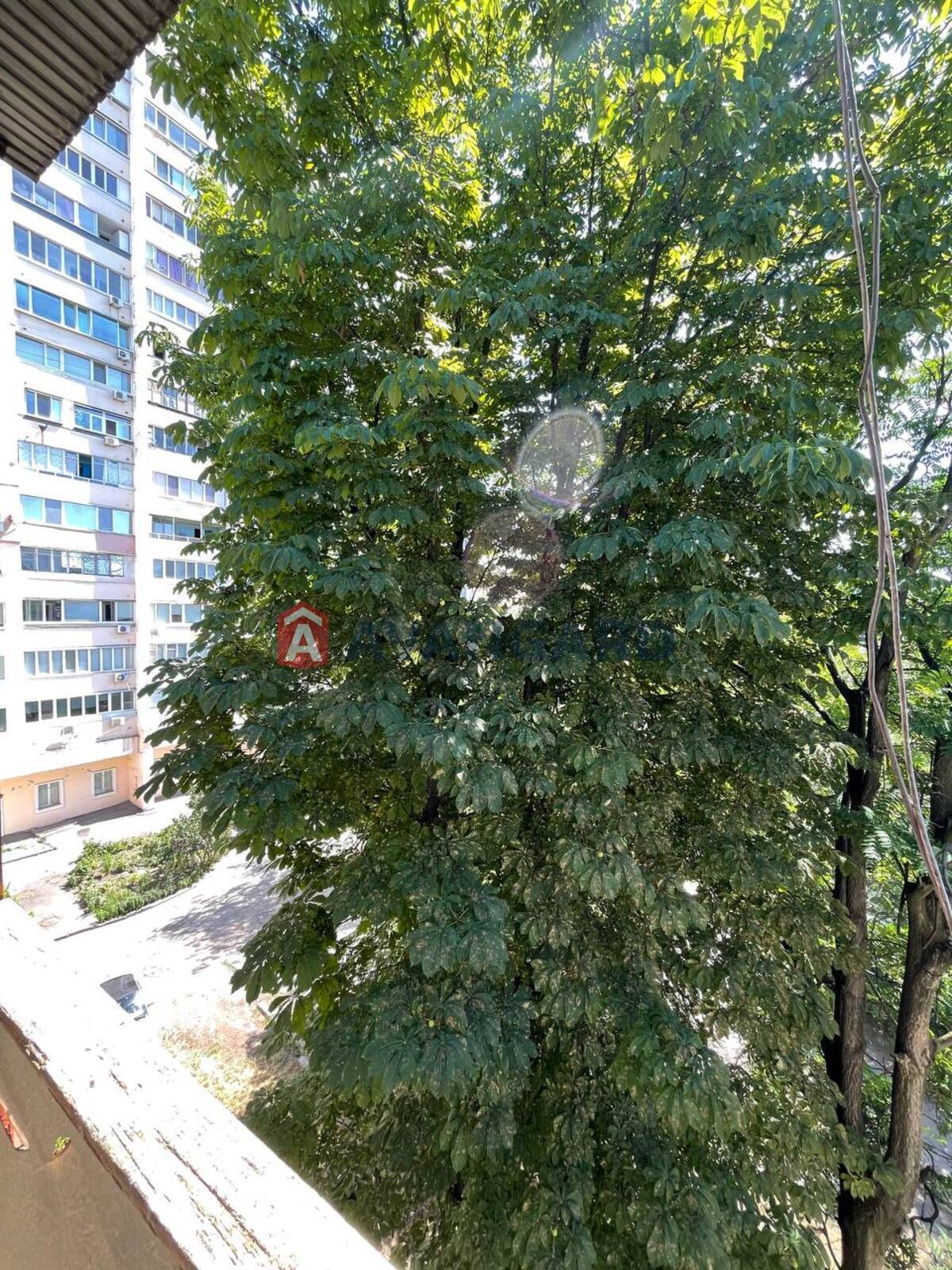 1 . , 30/17/6 . ., 5/5   3
