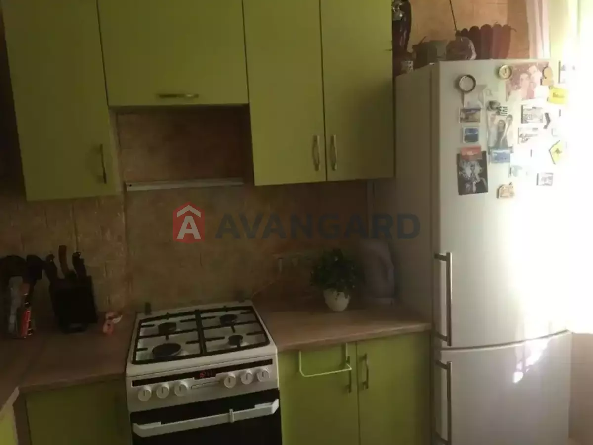 1 ����. ��������, 36/-/8 ��. �., 1/2 ���� ���� 1