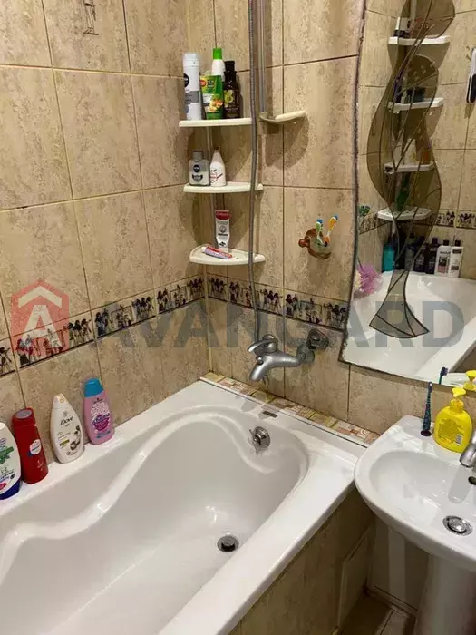 2 . , 48/-/8 . ., 5/5   2