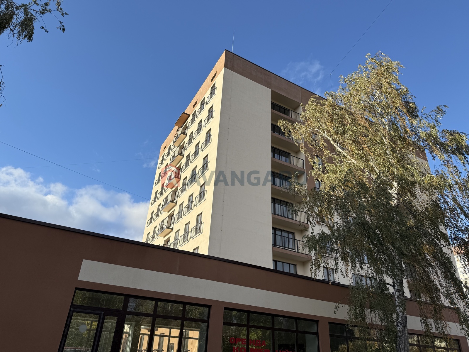 2 . , 49,6/32,2/20,8 . ., 6/9   1