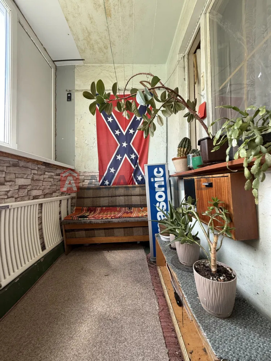 3 . , 58/-/5 . ., 5/9   16