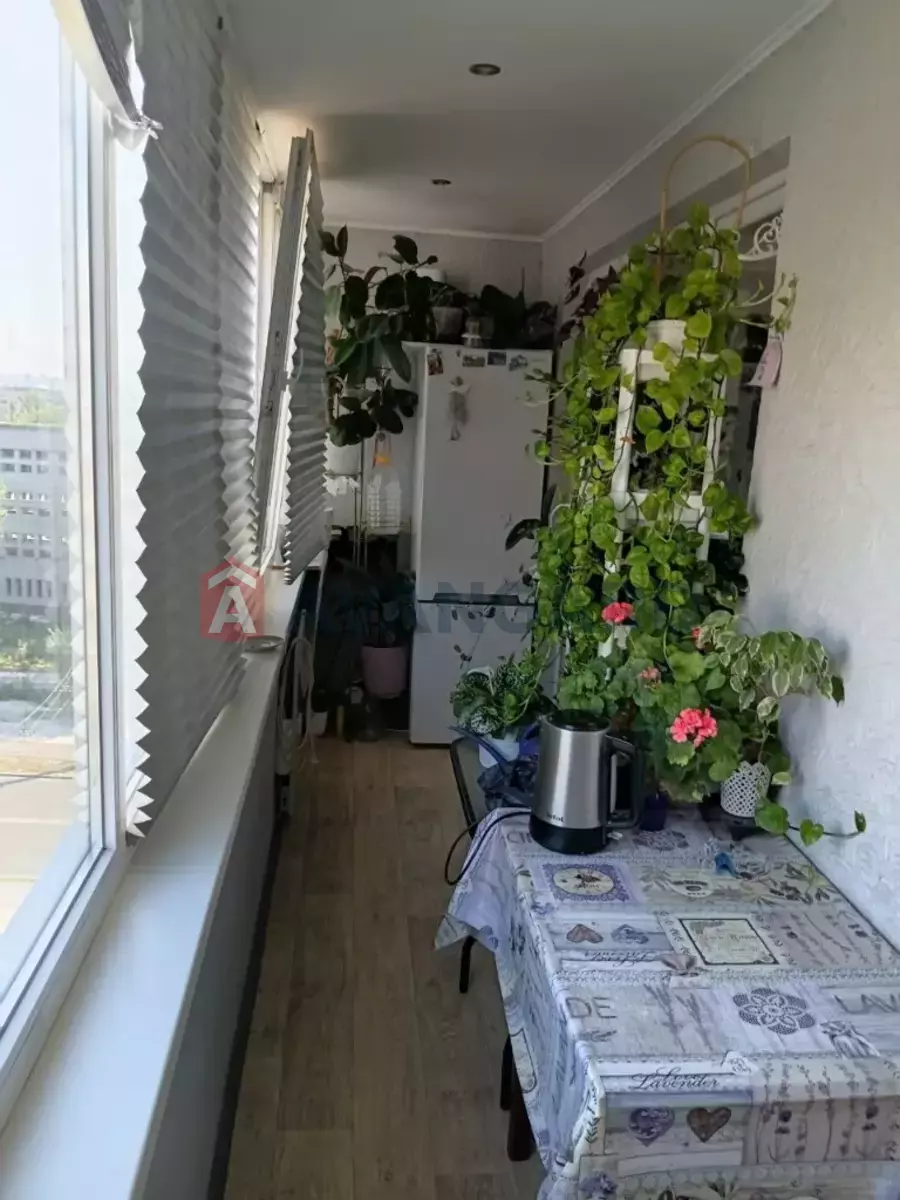 1 ��. ��������, 40/-/8 ��. �., 8/12 ������ ���� 11