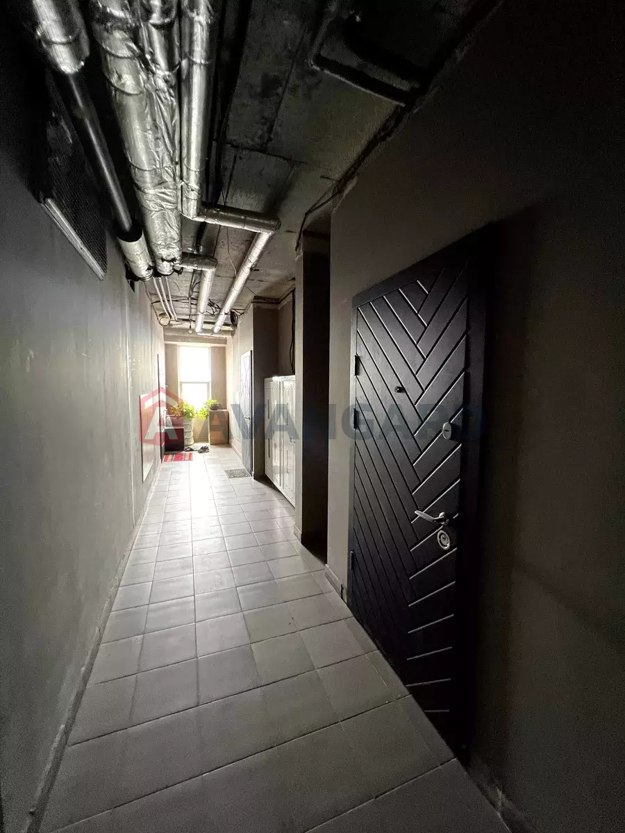 2 ��. ��������, 54/-/20 ��. �., 21/21 ������ ���� 12