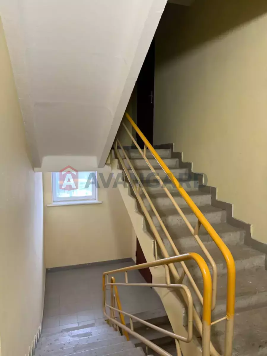 2 ��. ��������, 72/38/15 ��. �., 10/10 ������ ���� 6