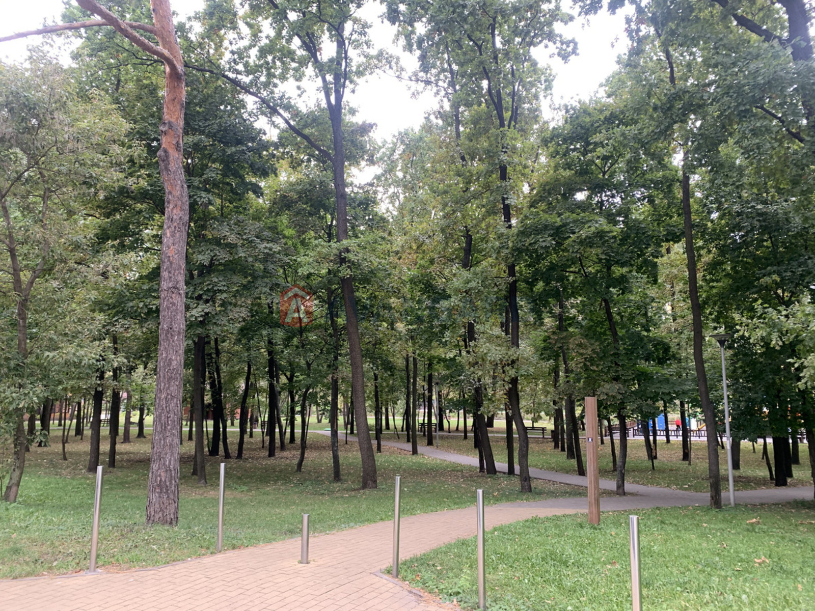 2 ����. ��������, 77/33/25 ��. �., 10/26 ���� ���� 19