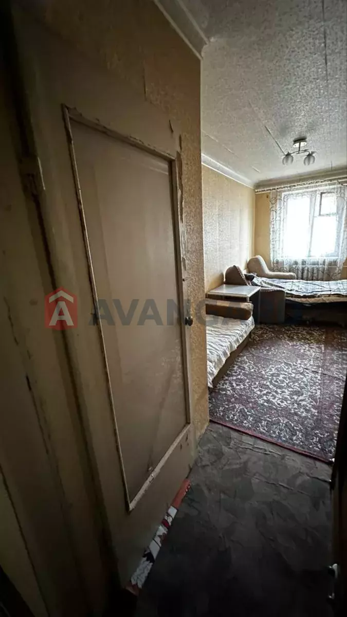 2 ����. ��������, 41/-/6 ��. �., 3/3 ���� ���� 3