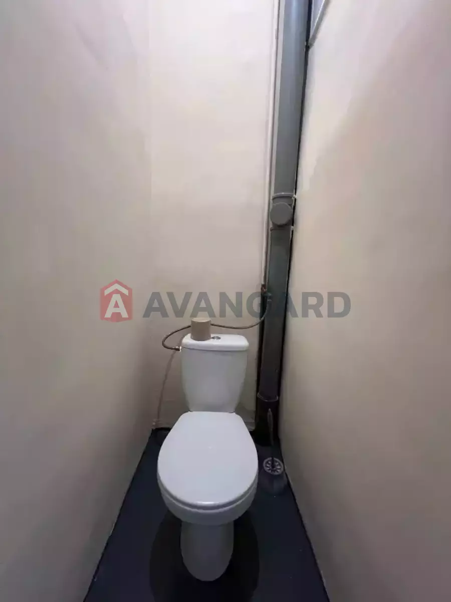 2 . , 61/-/- . ., 2/4   7