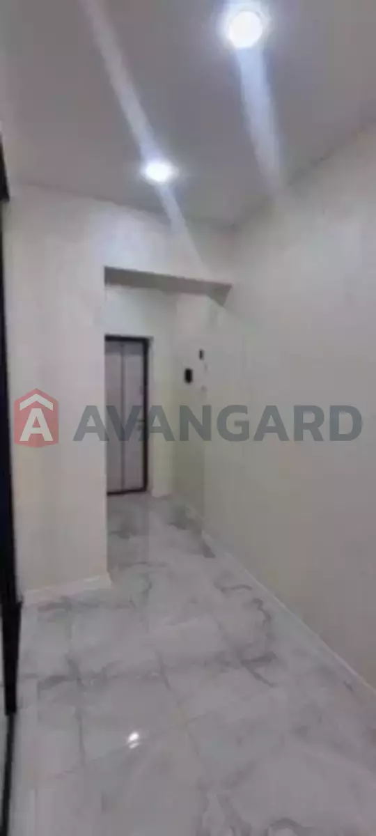 3 ��. ��������, 80/-/11 ��. �., 6/11 ������ ���� 2