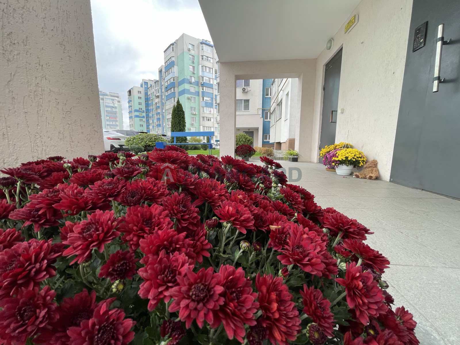 3 ��. ��������, 92/-/10 ��. �., 7/10 ������ ���� 18