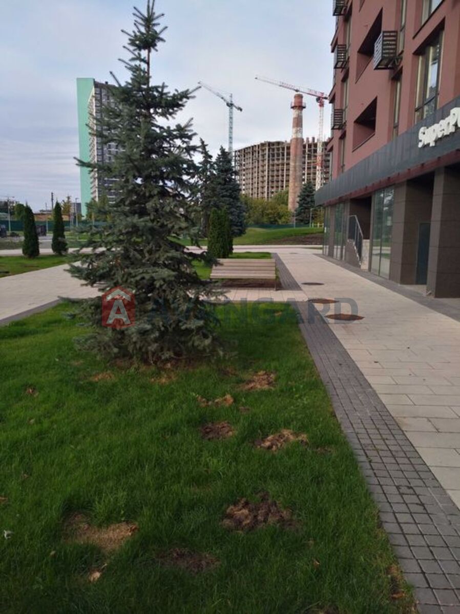 1 . , 45/-/16 . ., 2/23   10