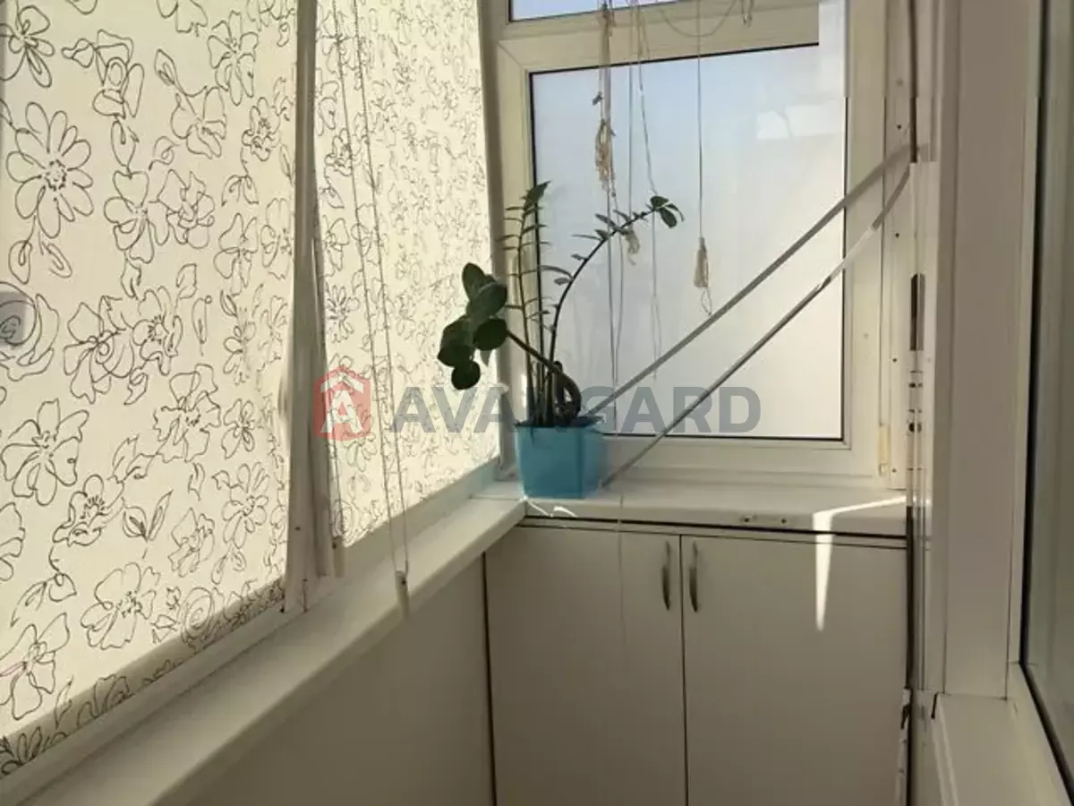 3 ��. ��������, 58/-/6 ��. �., 5/5 ������ ���� 16