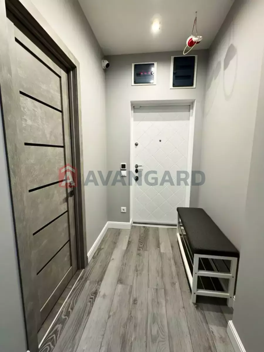 3 . , 62/-/- . ., 19/24   14