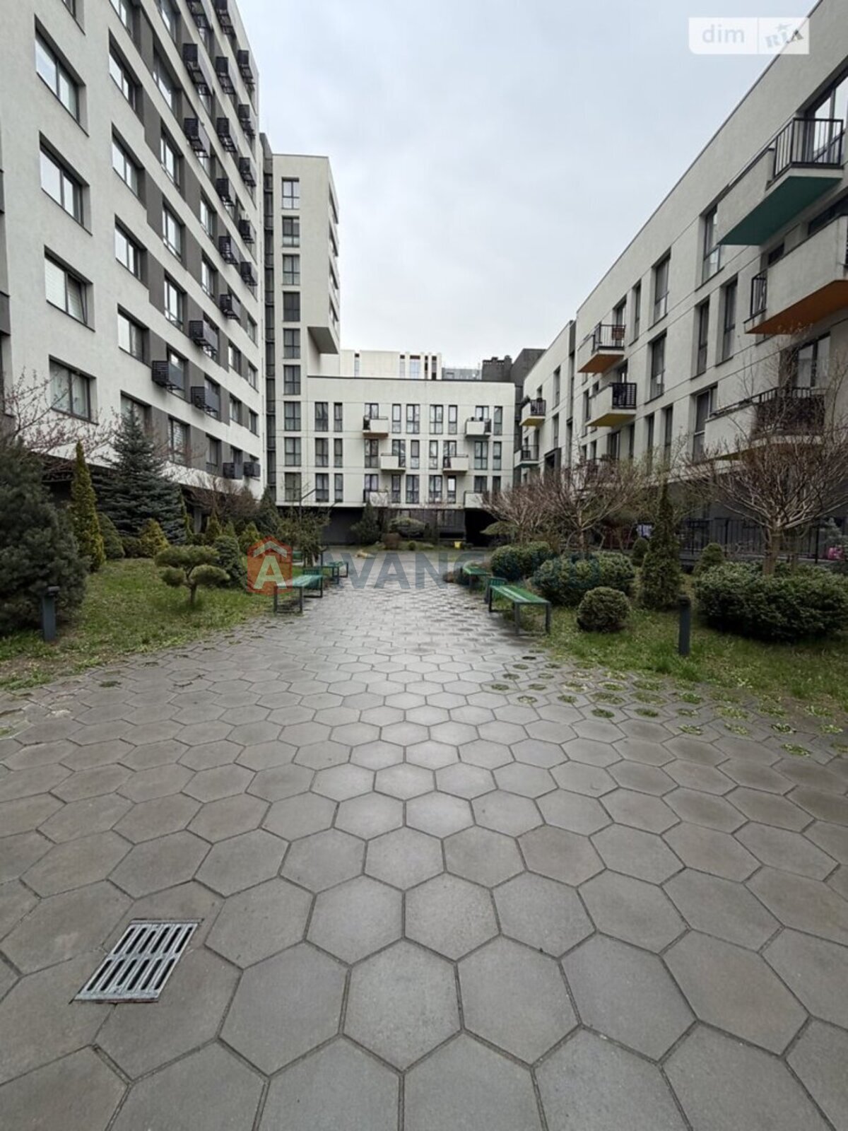 1 ��. ��������, 43/-/- ��. �., 5/5 ������ ���� 3