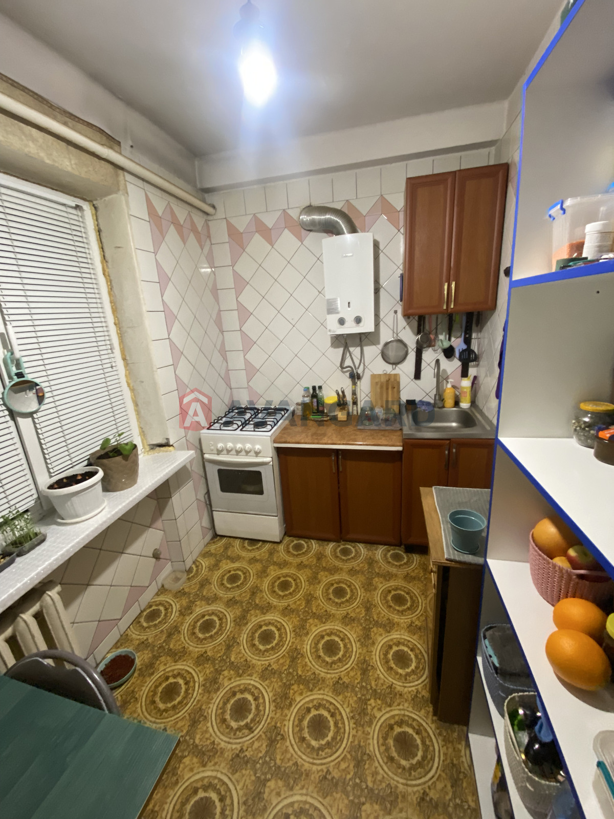 3 ����. ��������, 58/-/6 ��. �., 5/5 ���� ���� 14