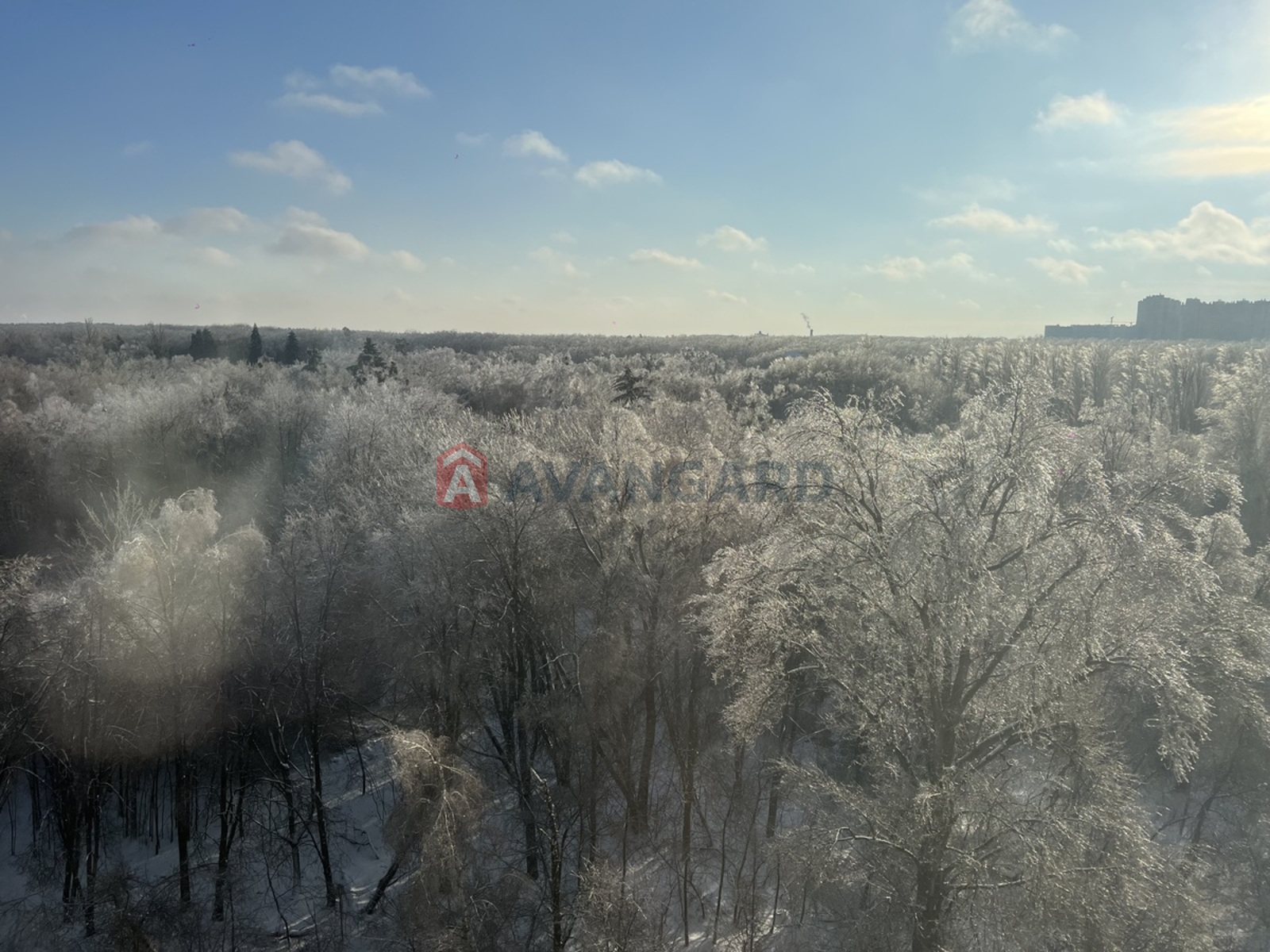 1 ��. ��������, 48/18/18 ��. �., 11/25 ������ ���� 11