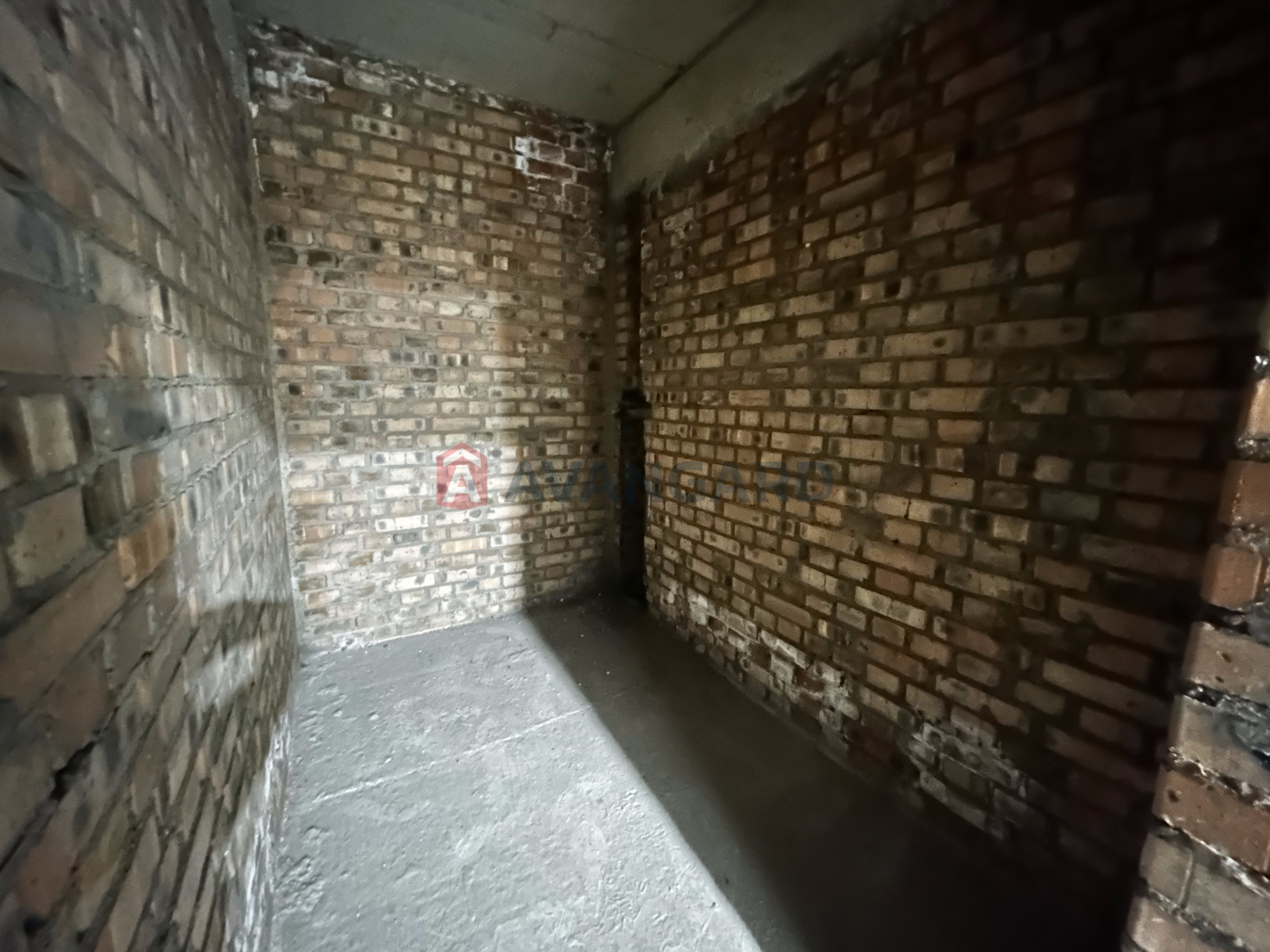 2 . , 78,8/38,1/19,7 . ., 2/6   14