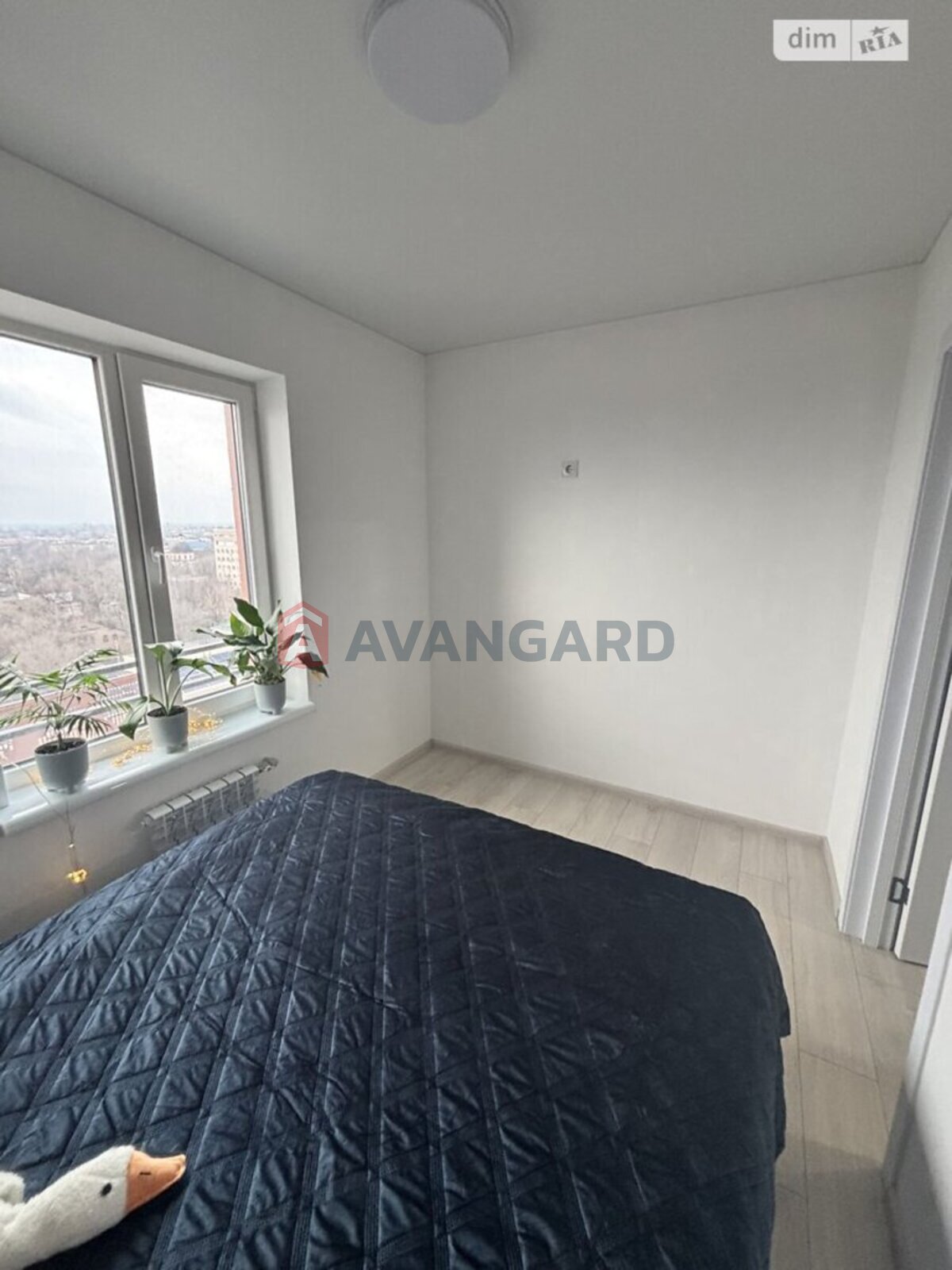 1 ��. ��������, 38/-/- ��. �., 5/5 ������ ���� 4