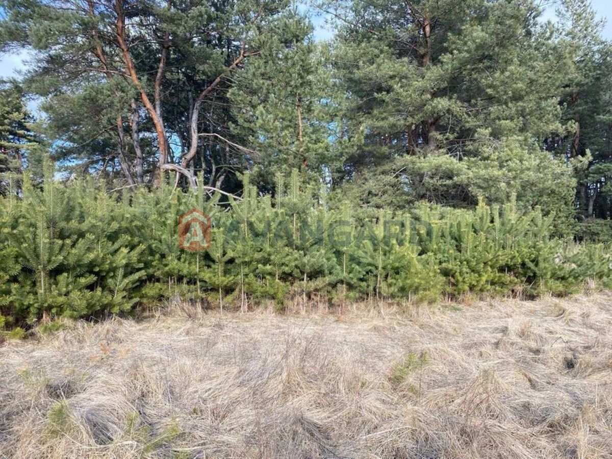 3 ����. ��������, 77/-/15 ��. �., 12/14 ���� ���� 11