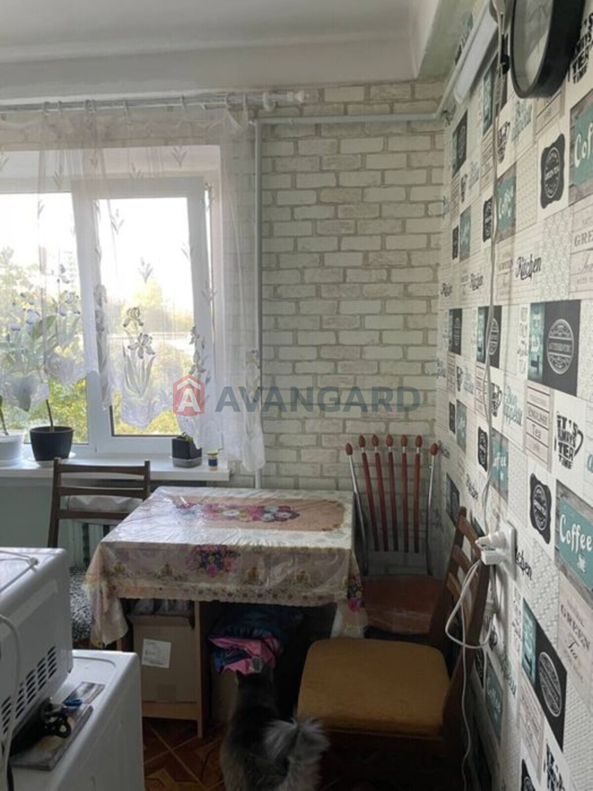 2 ��. ��������, 45/-/6 ��. �., 5/5 ������ ���� 3